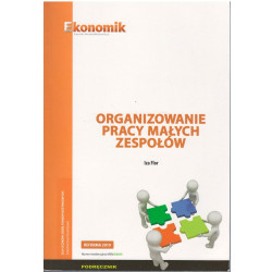 Organizowanie pracy małych zespołów » Ekonomik » Podręcznik