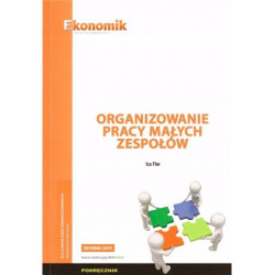 Organizowanie pracy małych zespołów » Ekonomik » Podręcznik